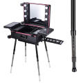 Rolling Makeup Case  with LED Light Mirror Adjustable Legs Detachable Wheel Train Studio Artist Cosmetic